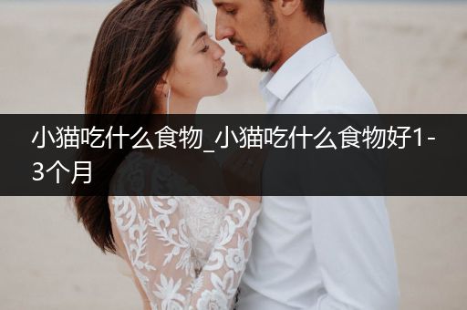 小貓吃什么食物_小貓吃什么食物好1-3個(gè)月