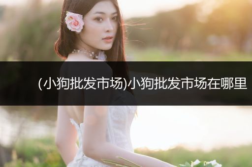 （小狗批發(fā)市場(chǎng))小狗批發(fā)市場(chǎng)在哪里