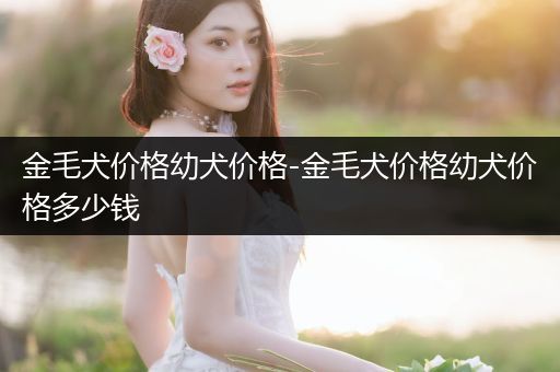 金毛犬價(jià)格幼犬價(jià)格-金毛犬價(jià)格幼犬價(jià)格多少錢