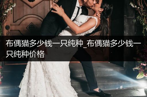 布偶貓多少錢(qián)一只純種_布偶貓多少錢(qián)一只純種價(jià)格