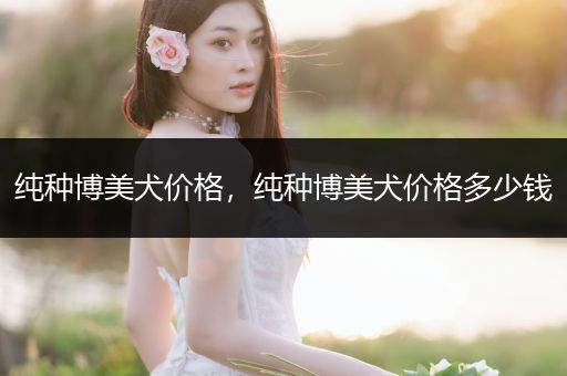 純種博美犬價(jià)格，純種博美犬價(jià)格多少錢(qián)