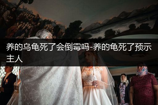 養(yǎng)的烏龜死了會倒霉嗎-養(yǎng)的龜死了預(yù)示主人