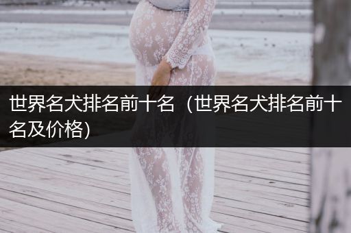 世界名犬排名前十名（世界名犬排名前十名及價(jià)格）