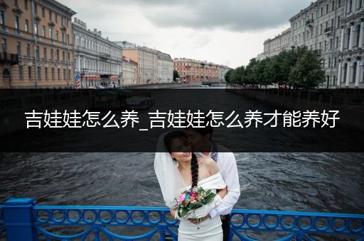 吉娃娃怎么養(yǎng)_吉娃娃怎么養(yǎng)才能養(yǎng)好