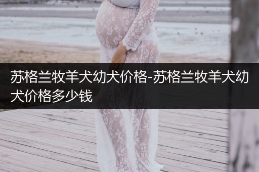 蘇格蘭牧羊犬幼犬價(jià)格-蘇格蘭牧羊犬幼犬價(jià)格多少錢(qián)