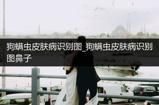 狗螨蟲皮膚病識別圖_狗螨蟲皮膚病識別圖鼻子