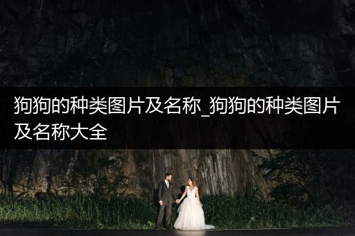 狗狗的種類圖片及名稱_狗狗的種類圖片及名稱大全