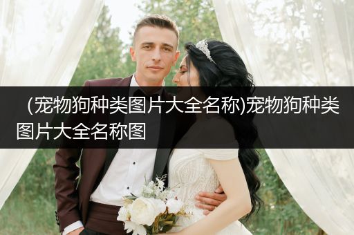 （寵物狗種類圖片大全名稱)寵物狗種類圖片大全名稱圖