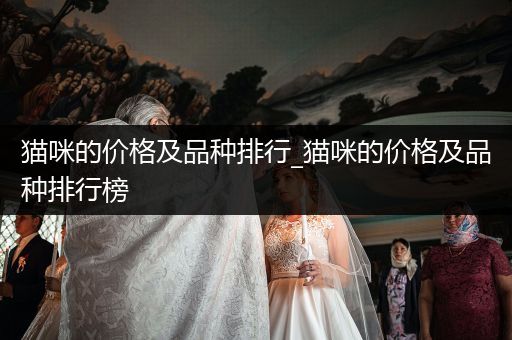 貓咪的價(jià)格及品種排行_貓咪的價(jià)格及品種排行榜