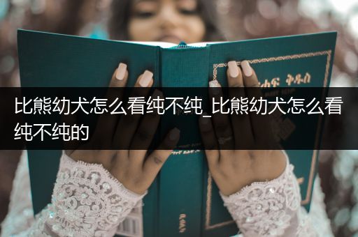 比熊幼犬怎么看純不純_比熊幼犬怎么看純不純的
