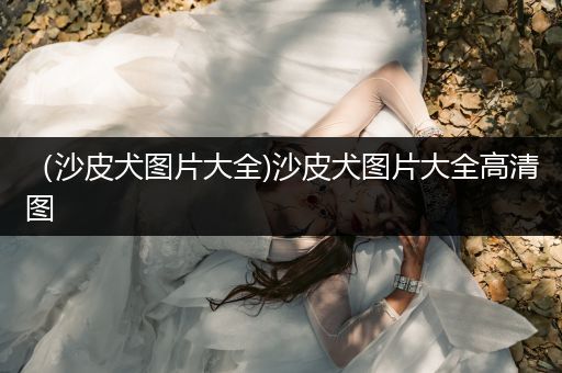 （沙皮犬圖片大全)沙皮犬圖片大全高清圖