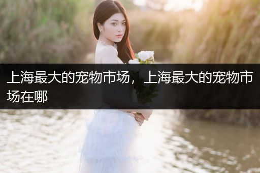 上海最大的寵物市場(chǎng)，上海最大的寵物市場(chǎng)在哪