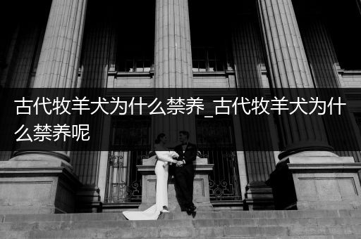 古代牧羊犬為什么禁養(yǎng)_古代牧羊犬為什么禁養(yǎng)呢