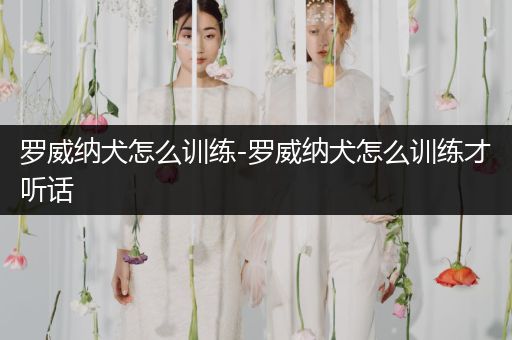 羅威納犬怎么訓(xùn)練-羅威納犬怎么訓(xùn)練才聽話