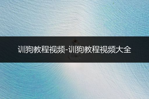 訓(xùn)狗教程視頻-訓(xùn)狗教程視頻大全