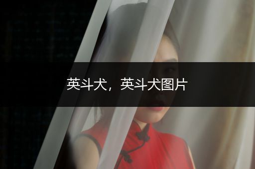 英斗犬，英斗犬圖片