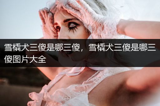 雪橇犬三傻是哪三傻，雪橇犬三傻是哪三傻圖片大全