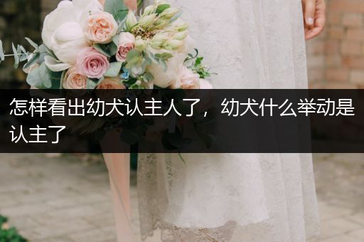 怎樣看出幼犬認(rèn)主人了，幼犬什么舉動(dòng)是認(rèn)主了