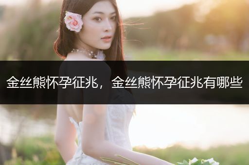 金絲熊懷孕征兆，金絲熊懷孕征兆有哪些