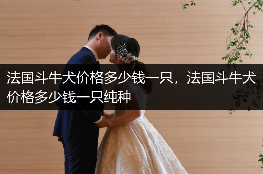 法國斗牛犬價格多少錢一只，法國斗牛犬價格多少錢一只純種