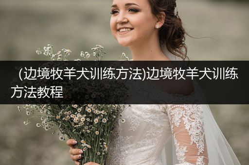 （邊境牧羊犬訓(xùn)練方法)邊境牧羊犬訓(xùn)練方法教程