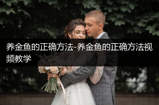 養(yǎng)金魚(yú)的正確方法-養(yǎng)金魚(yú)的正確方法視頻教學(xué)