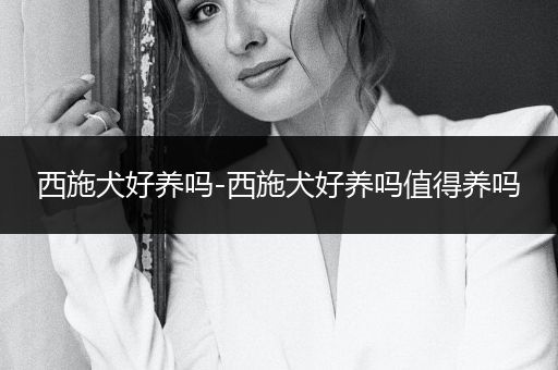 西施犬好養(yǎng)嗎-西施犬好養(yǎng)嗎值得養(yǎng)嗎