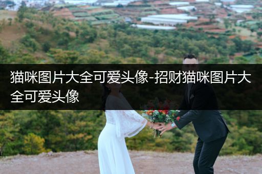 貓咪圖片大全可愛(ài)頭像-招財(cái)貓咪圖片大全可愛(ài)頭像