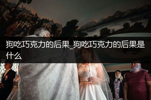 狗吃巧克力的后果_狗吃巧克力的后果是什么