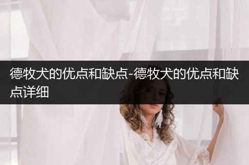 德牧犬的優(yōu)點(diǎn)和缺點(diǎn)-德牧犬的優(yōu)點(diǎn)和缺點(diǎn)詳細(xì)