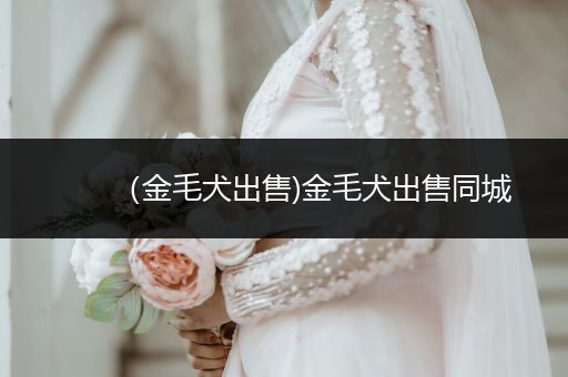 （金毛犬出售)金毛犬出售同城