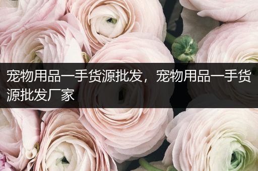 寵物用品一手貨源批發(fā)，寵物用品一手貨源批發(fā)廠家