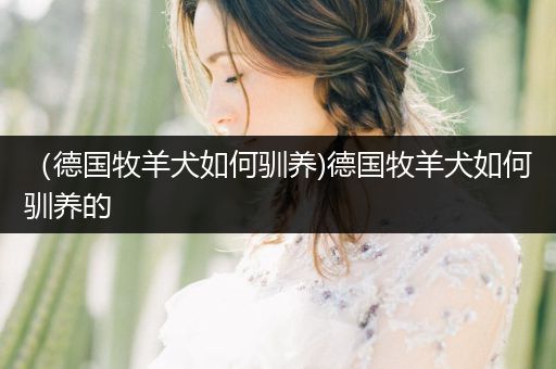 （德國(guó)牧羊犬如何馴養(yǎng))德國(guó)牧羊犬如何馴養(yǎng)的