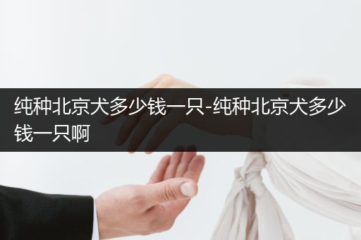純種北京犬多少錢(qián)一只-純種北京犬多少錢(qián)一只啊