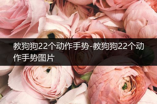 教狗狗22個(gè)動(dòng)作手勢(shì)-教狗狗22個(gè)動(dòng)作手勢(shì)圖片