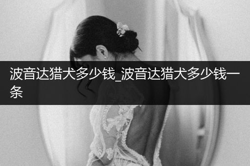 波音達(dá)獵犬多少錢_波音達(dá)獵犬多少錢一條