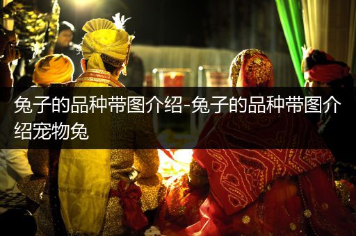 兔子的品種帶圖介紹-兔子的品種帶圖介紹寵物兔