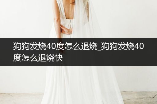狗狗發(fā)燒40度怎么退燒_狗狗發(fā)燒40度怎么退燒快