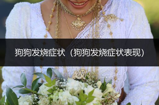 狗狗發(fā)燒癥狀（狗狗發(fā)燒癥狀表現(xiàn)）