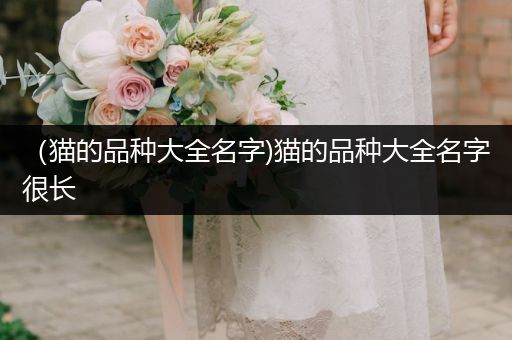（貓的品種大全名字)貓的品種大全名字很長(zhǎng)