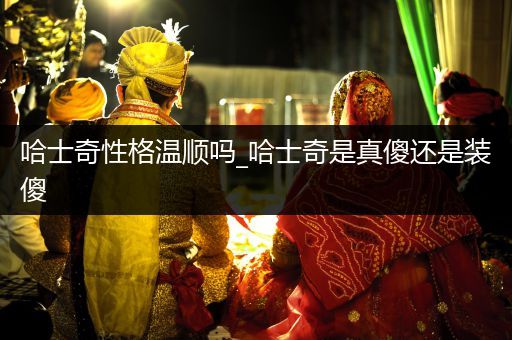 哈士奇性格溫順嗎_哈士奇是真傻還是裝傻