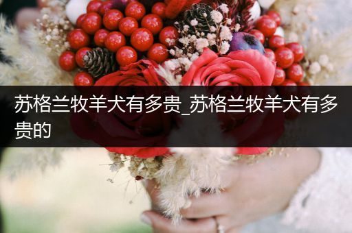 蘇格蘭牧羊犬有多貴_蘇格蘭牧羊犬有多貴的