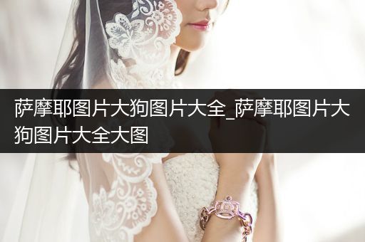 薩摩耶圖片大狗圖片大全_薩摩耶圖片大狗圖片大全大圖