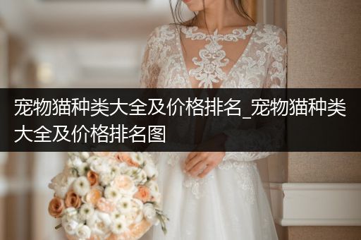 寵物貓種類大全及價(jià)格排名_寵物貓種類大全及價(jià)格排名圖