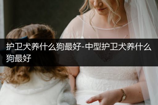 護(hù)衛(wèi)犬養(yǎng)什么狗最好-中型護(hù)衛(wèi)犬養(yǎng)什么狗最好