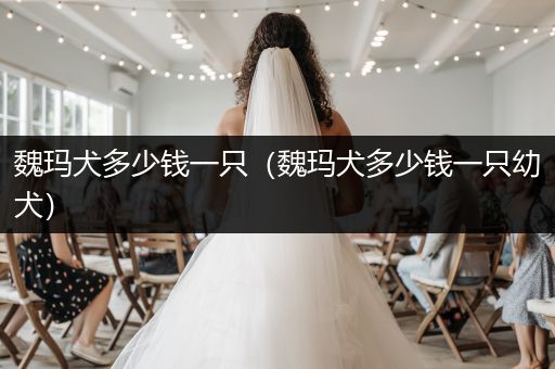 魏瑪犬多少錢一只（魏瑪犬多少錢一只幼犬）