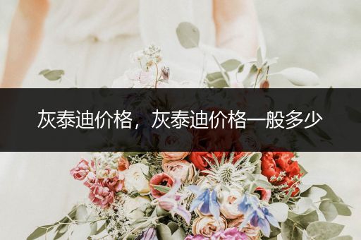 灰泰迪價格，灰泰迪價格一般多少