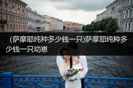 （薩摩耶純種多少錢一只)薩摩耶純種多少錢一只幼崽