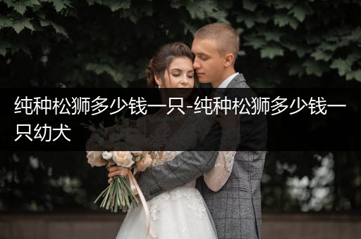 純種松獅多少錢一只-純種松獅多少錢一只幼犬