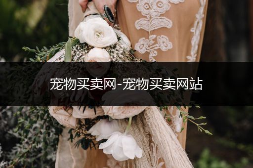 寵物買賣網(wǎng)-寵物買賣網(wǎng)站